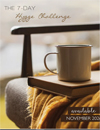 Bella Grace The Cozy Issue Vol 9 2026 - preorder due Nov, includes UK P&P
