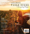 Field Guide to Everyday Magic Issue 17 NEW