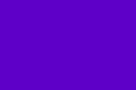 Orchidee Violacee OUT OF STOCK