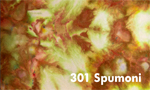 Spumoni
