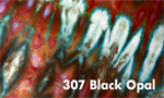 Black Opal