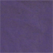 Retro Purple NEW